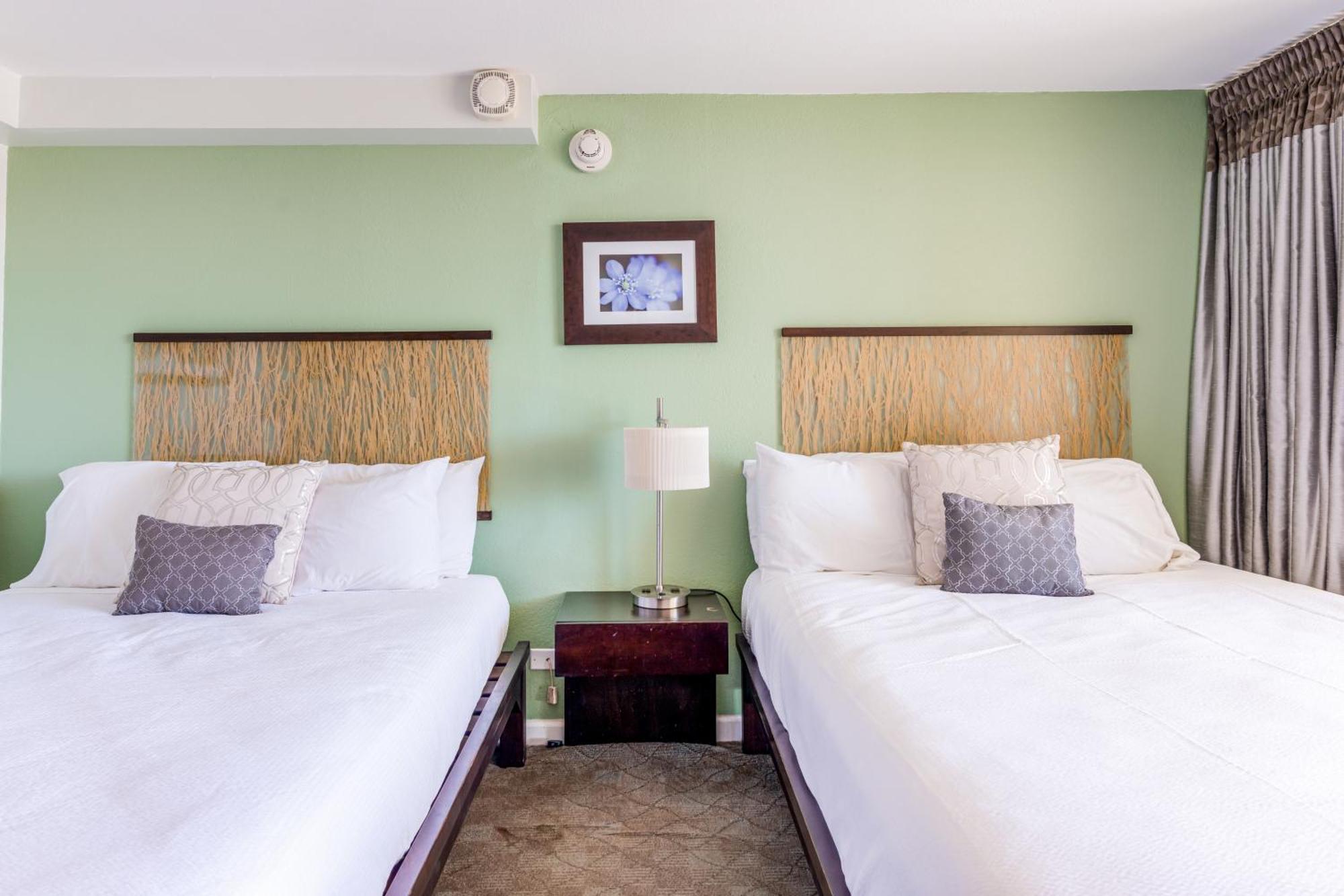 Island Colony Suites Honolulu Phòng bức ảnh